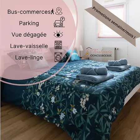 Parenthese Ensoleillee - Terrasse Et Parking * Toulouse