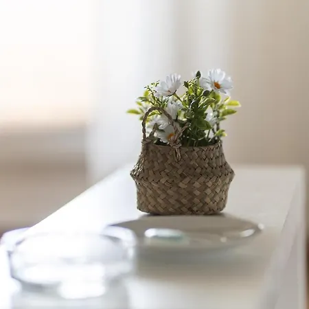 Parenthese Ensoleillee - Terrasse Et Parking Apartman *